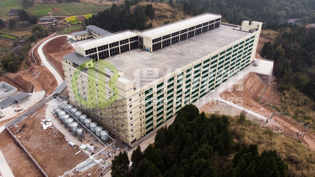 ఆధునిక పిగ్ ఫార్మ్ డిజైన్‌లో పర్యావరణ నాణ్యతను ఎలా మెరుగుపరచాలి