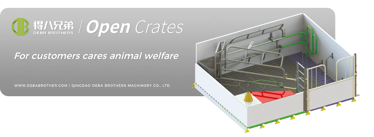 DEBA బ్రదర్స్ ఓపెన్ సోవ్ బెడ్ దాని యూజర్ ఫ్రెండ్లీ డిజైన్ కోసం ప్రపంచవ్యాప్తంగా గుర్తింపు పొందింది